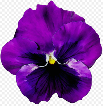 Pansy Flower Violet Portable Network Graphics Vase -  