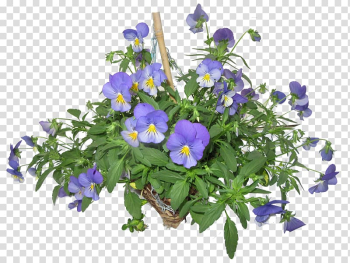 Pansy Hare Hatch Sheeplands Basket Wicker Violet, violet transparent background PNG clipart