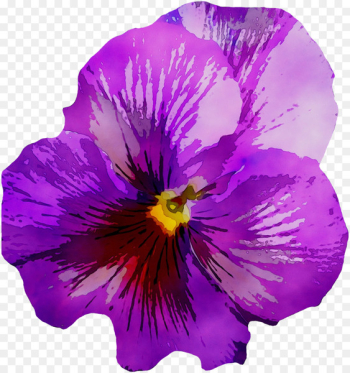 Pansy Image Violet Drawing Portable Network Graphics -  