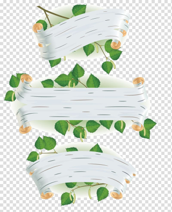 Paper birch Silver birch Euclidean Leaf Bark, Green leaves Billboard transparent background PNG clipart