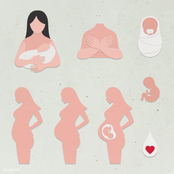 Paper craft pregnant woman and baby character set vector | Free  vector - 2323388