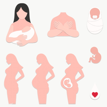 Paper craft pregnant woman and baby design element set | Free  transparent png - 2323389