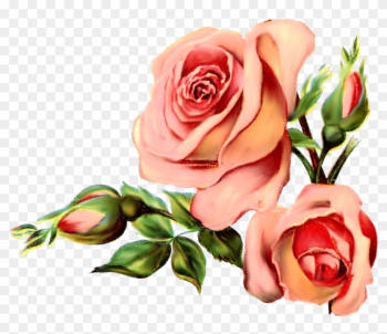 Paper Crafts Vintage Pieces For Collagealtered Art - Rose Vintage Png Paper Crafts Vintage Pieces For Collagealtered Art - Rose Vintage Png