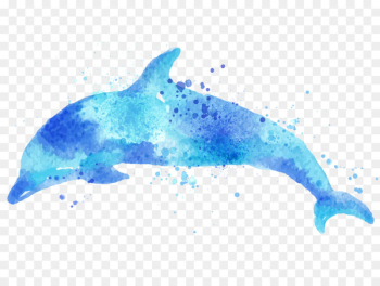 Paper Dolphin Drawing Watercolor painting - Drawing Dolphins Paper Dolphin Drawing Watercolor painting - Drawing Dolphins