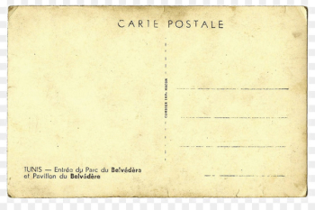 Paper Letter Postcard - Old letter paper Paper Letter Postcard - Old letter paper
