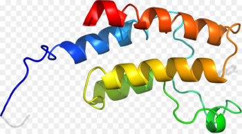 Paper Product Clip art Information Goods - aavp7 a1 