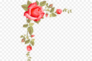 Paper Rose Flower Clip art - Rose borders Paper Rose Flower Clip art - Rose borders