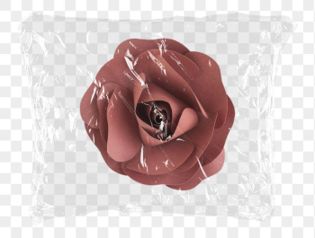 Paper rose png flower plastic | Free PNG - rawpixel