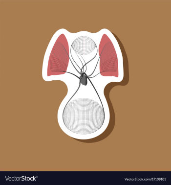 Paper sticker on stylish background circulatory vector image Paper sticker on stylish background circulatory vector image