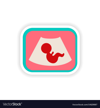 Paper sticker on white background baby ultrasound vector image