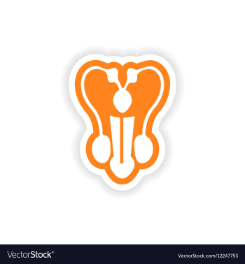 Paper sticker on white background man penis vector image Paper sticker on white background man penis vector image