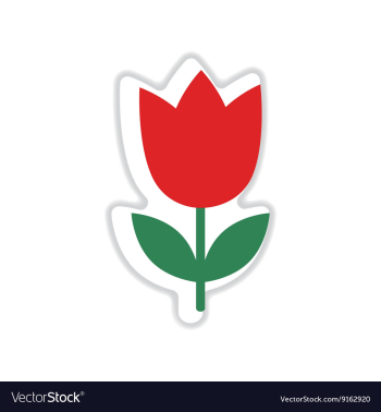 Paper sticker on white background tulip blooms vector image Paper sticker on white background tulip blooms vector image