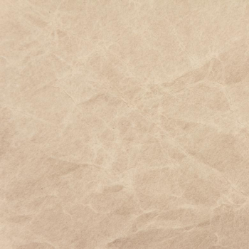 Paper Texture Paper Texture