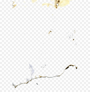 Paper Texture mapping - Burned paper Paper Texture mapping - Burned paper