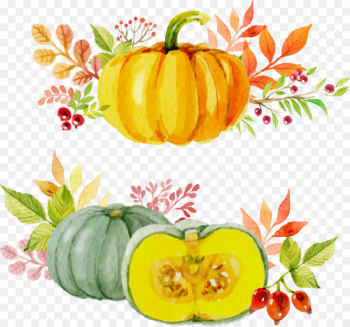 Paper Thanksgiving Watercolor painting Autumn Pumpkin - Vector Painted pumpkin 