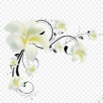 Paper Wall Television Wallpaper - Flowers Paper Wall Television Wallpaper - Flowers