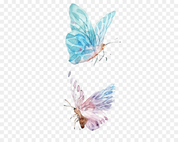 Paper Watercolor painting Drawing - Watercolor Butterfly 