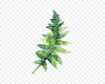 Paper Watercolor painting Fern Printing - Green leaves Paper Watercolor painting Fern Printing - Green leaves