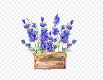 Paper Watercolor painting Flower Lavender - Watercolor flowers 