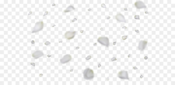 Paper White Pattern - White roses floating Paper White Pattern - White roses floating