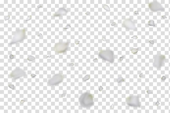 Paper White Pattern, White roses floating transparent background PNG clipart Paper White Pattern, White roses floating transparent background PNG clipart