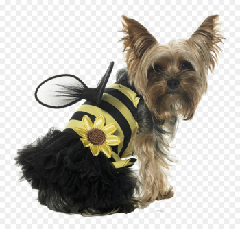 Papillon dog Puppy Bee Cat Costume - Cute dog clothes Papillon dog Puppy Bee Cat Costume - Cute dog clothes