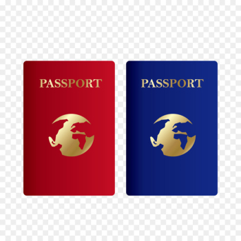 Papua New Guinean passport United States passport Passport stamp - Color passport 