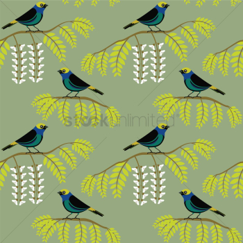 Paradise tanager on branches
