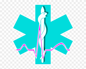 Paramedic Emergency Medical Technician Clip Art - Paramedic Emergency Medical Technician Clip Art