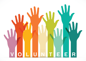 Parents / Parent Volunteer Application Parents / Parent Volunteer Application
