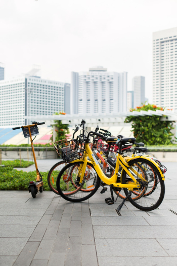 Parked Bicycles Parked Bicycles