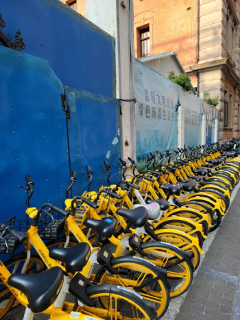 Parked Yellow Bicycles in Urban Setting Parked Yellow Bicycles in Urban Setting