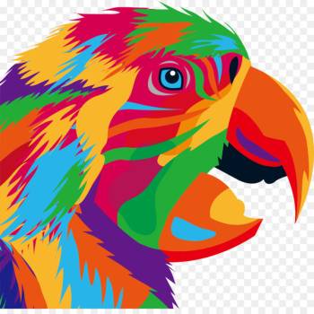 Parrot Bird Drawing Illustration - Personality graffiti eagle head portrait 