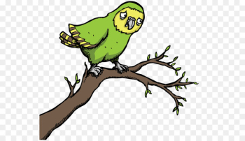 Parrot Bird Kakapo Macaw Clip art - parrot Parrot Bird Kakapo Macaw Clip art - parrot