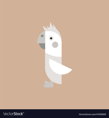 Parrot cockatoo parrot bird vector image Parrot cockatoo parrot bird vector image