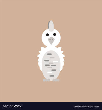 Parrot cockatoo parrot bird vector image Parrot cockatoo parrot bird vector image