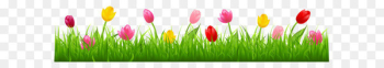 Parrot Tulips Flower Clip art - Grass with Colorful Tulips PNG Clipart 