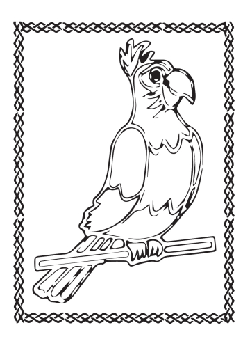 Parrot Vector free picture Parrot Vector free picture
