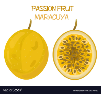 passion fruit icon design passion fruit icon design