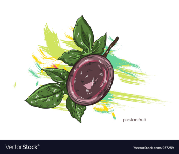 Passion fruit with colorful splashes vector image Passion fruit with colorful splashes vector image