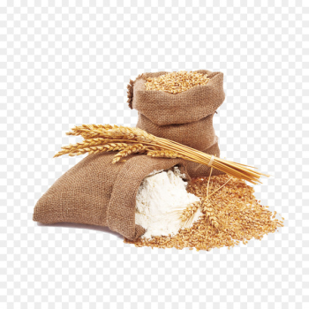 Pasta Common wheat Spelt Durum Flour - wheat Pasta Common wheat Spelt Durum Flour - wheat