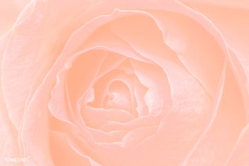 Pastel orange floral patterned background | Free illustration - 2356752 Pastel orange floral patterned background | Free illustration - 2356752