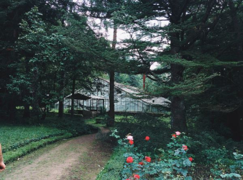 pathway between garden pathway between garden