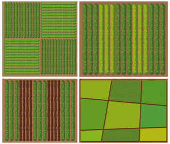 Pattern of crops from top view Free Vector Pattern of crops from top view Free Vector