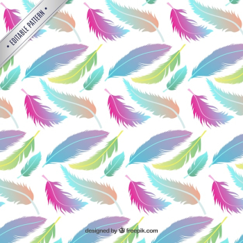 Pattern with colorful feathers Pattern with colorful feathers