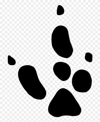 Paw Prints Red Kangaroo - Tree Kangaroo Paw Print Paw Prints Red Kangaroo - Tree Kangaroo Paw Print