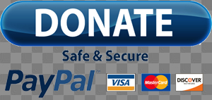 Paypal Donate Button Png Image Paypal Donate Button Png Image