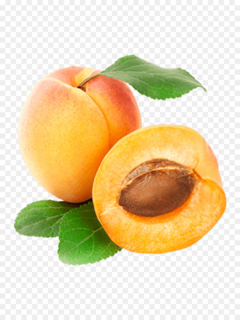 Peach Apricot Fruit Clip art - apricot Peach Apricot Fruit Clip art - apricot
