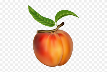Peach Clipart Peach Png Clipart Frutas Pinterest Peach - Peach Clip Art Peach Clipart Peach Png Clipart Frutas Pinterest Peach - Peach Clip Art