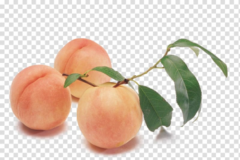 Peach fruit, Peach Melba Silkie Auglis, peach transparent background PNG clipart Peach fruit, Peach Melba Silkie Auglis, peach transparent background PNG clipart